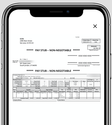 pay stub preview