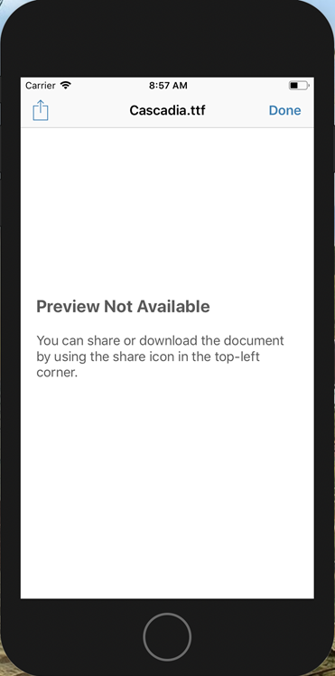 document can't be previewed message