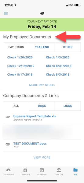 pay stubs listed on the My Documents page